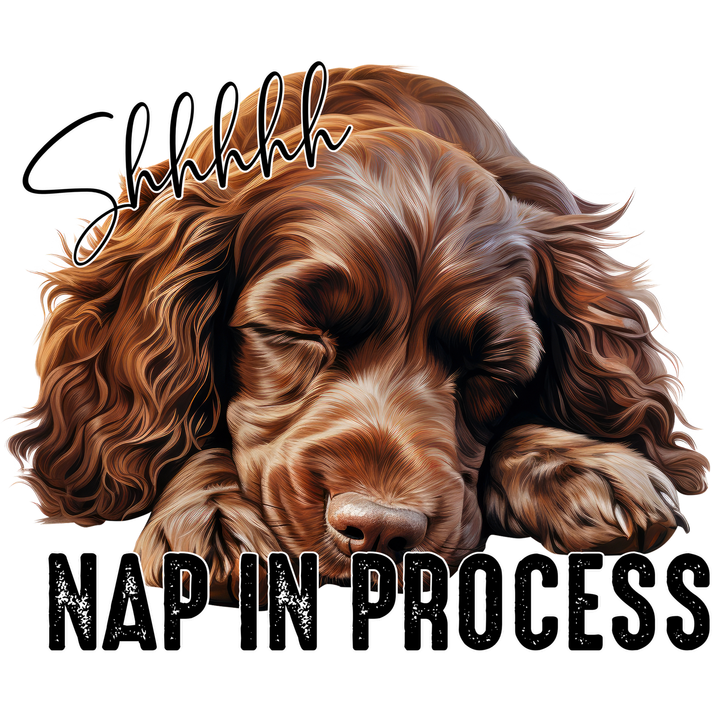 Shhhhhh Nap In Process Dog Sleeping Poster