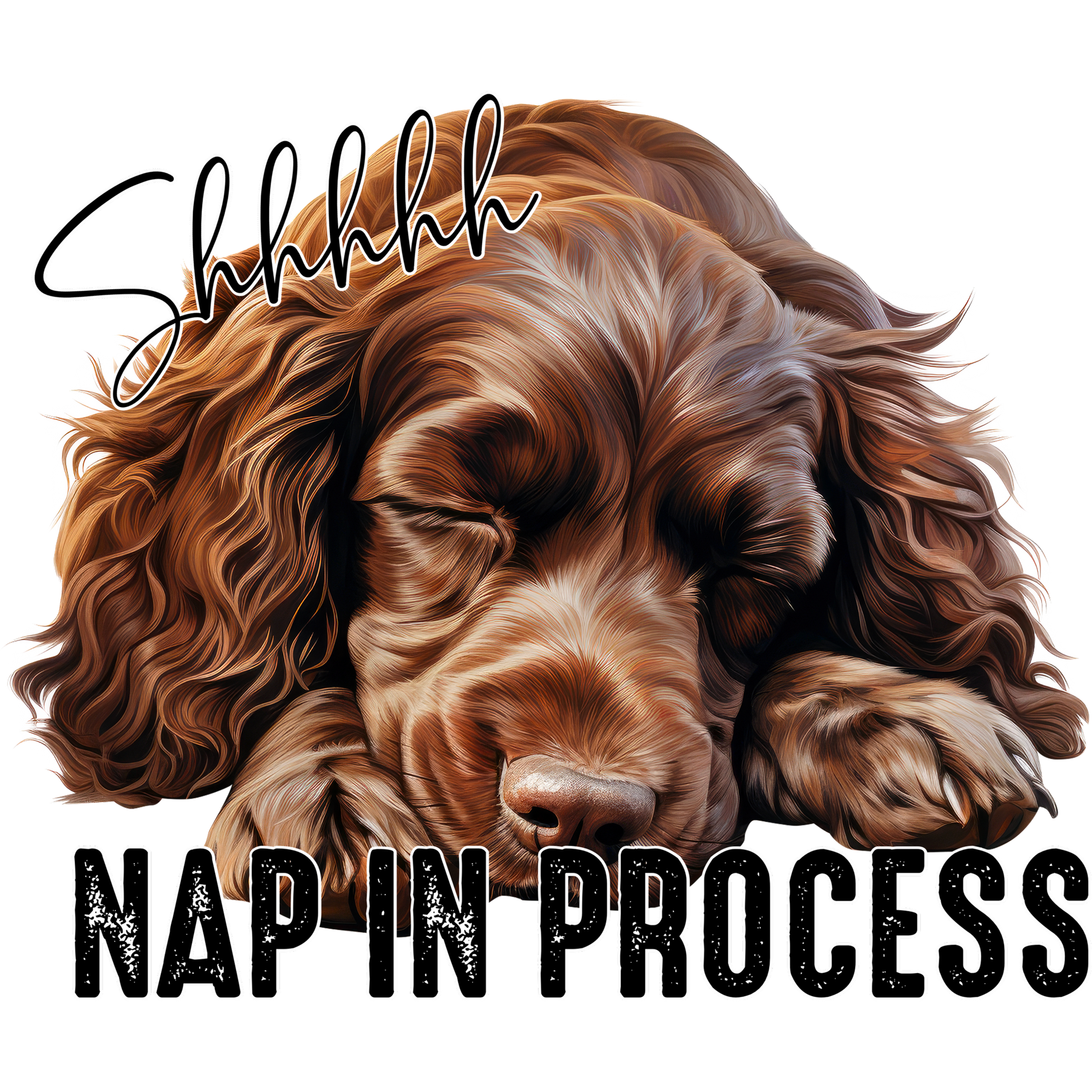 Shhhhhh Nap In Process Dog Sleeping Poster