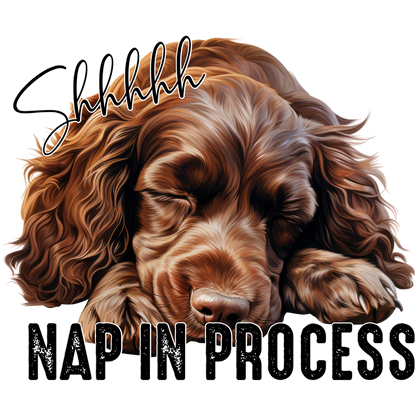 Shhhhhh Nap In Process Dog Sleeping Poster