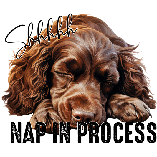 Shhhhhh Nap In Process Dog Sleeping Poster
