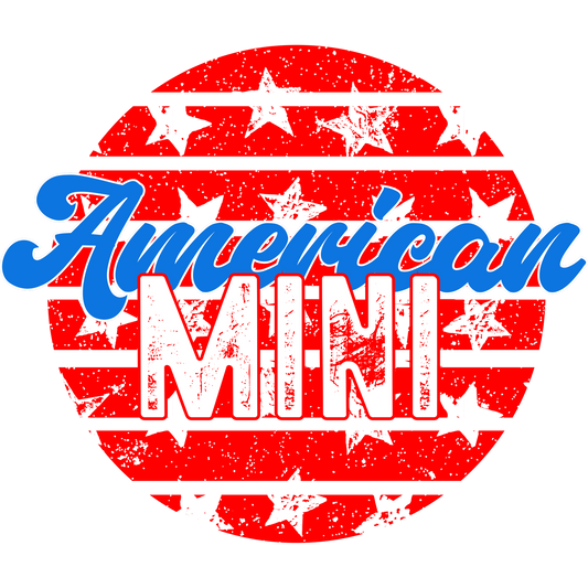 American MINI Stars and Stripes Graphic product