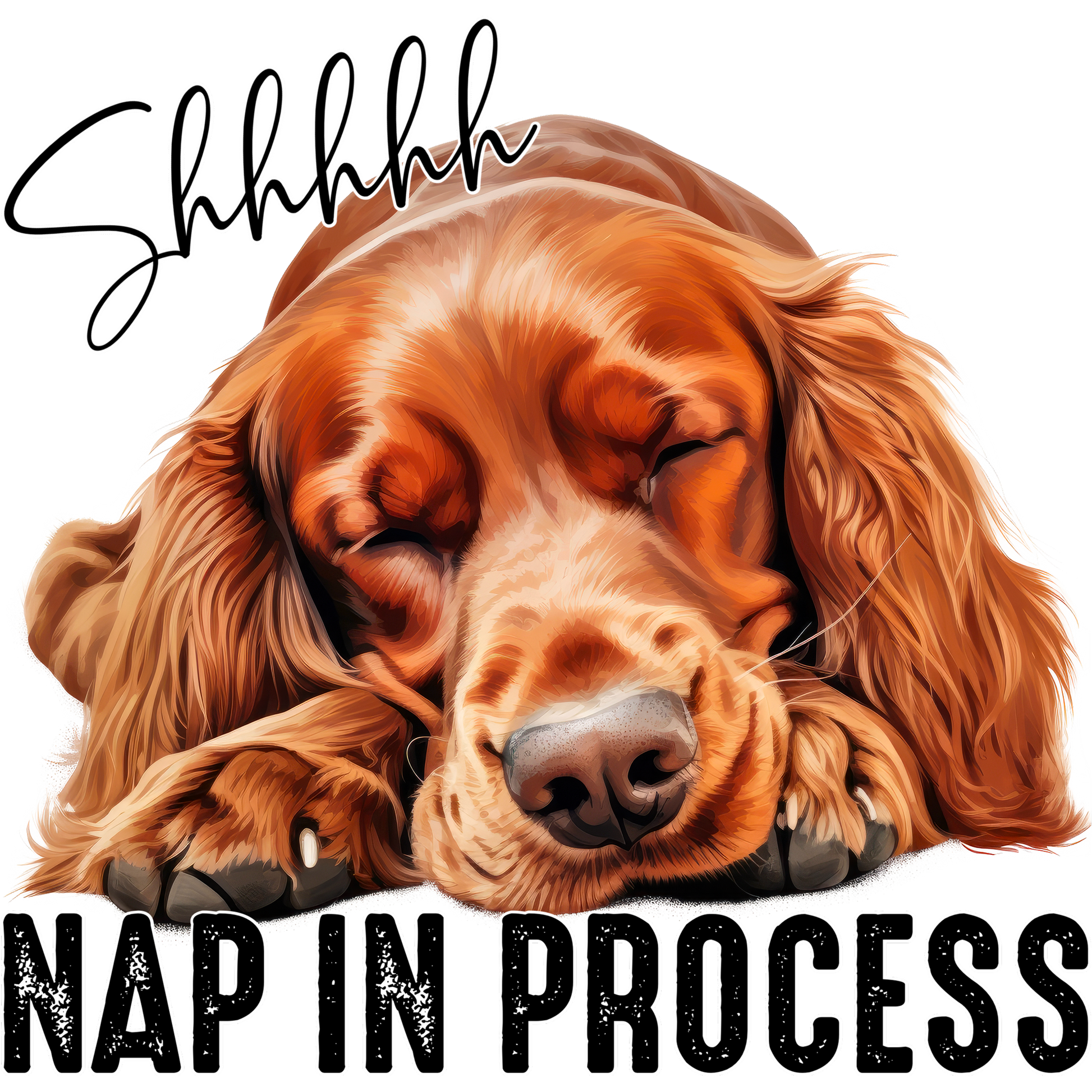 Shhhhh Nap In Process Sleeping Dog Wall Art Decor