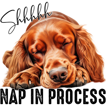 Shhhhh Nap In Process Sleeping Dog Wall Art Decor