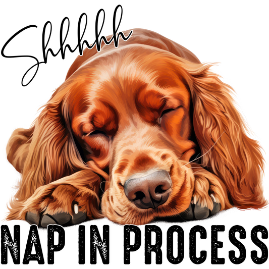 Shhhhh Nap In Process Sleeping Dog Wall Art Decor