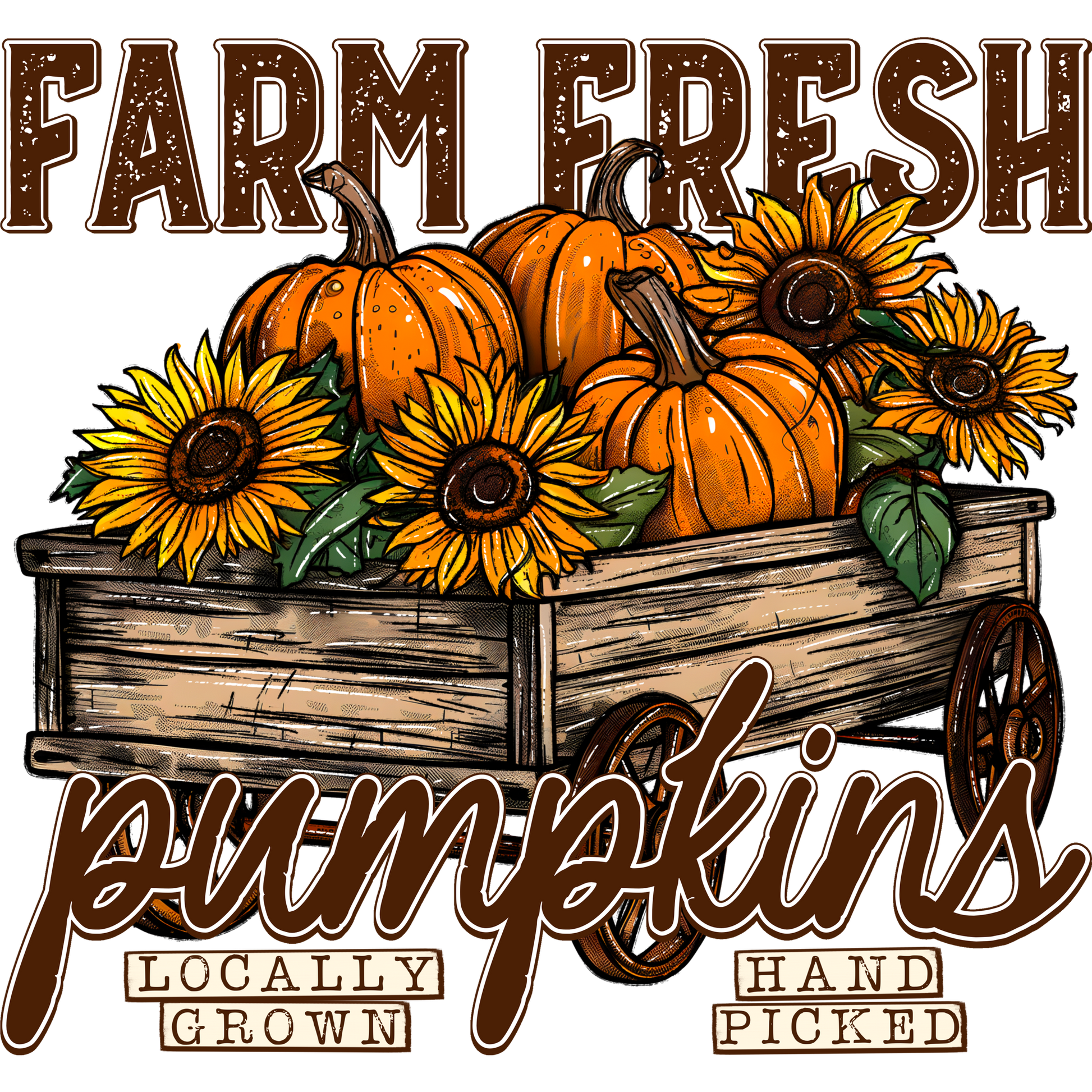 Farm Fresh Pumpkins Locally Grown Hand Picked product