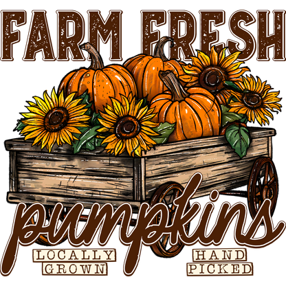 Farm Fresh Pumpkins Locally Grown Hand Picked product