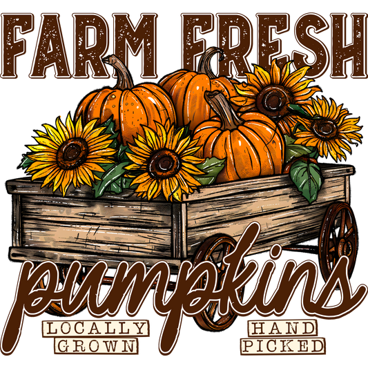 Farm Fresh Pumpkins Locally Grown Hand Picked product