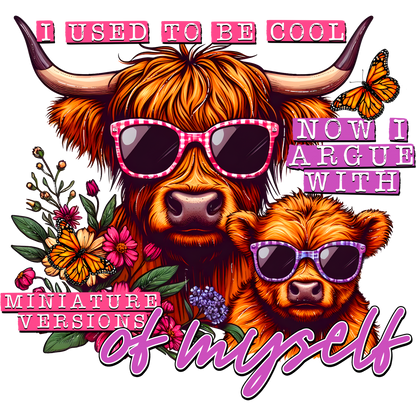 I Used to Be Cool Now I Argue with Myself Sticker