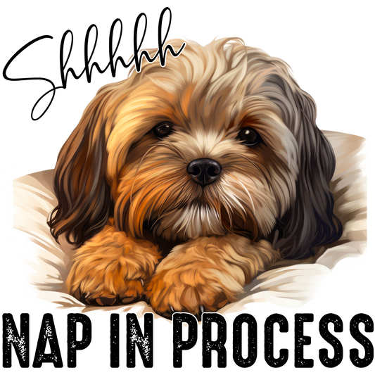 Shhhhhh Nap in Process Adorable Sleeping Dog Sign