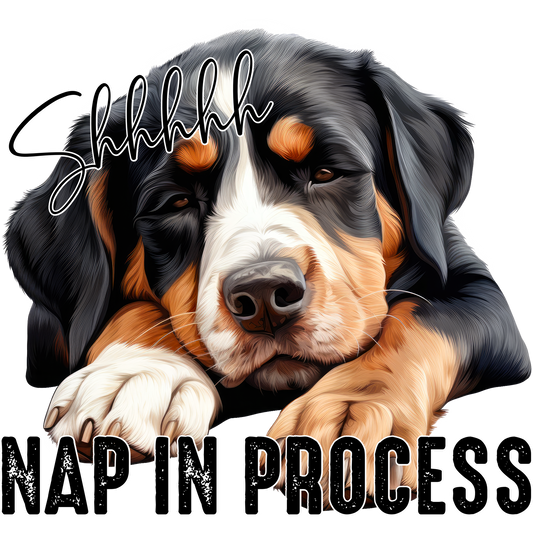 Shhh Nap In Process Cute Sleeping Dog Art Print