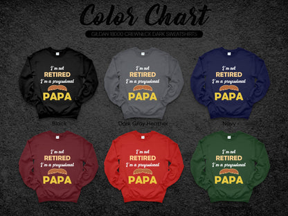 I'm Not Retired I'm a Professional Papa Sweatshirt