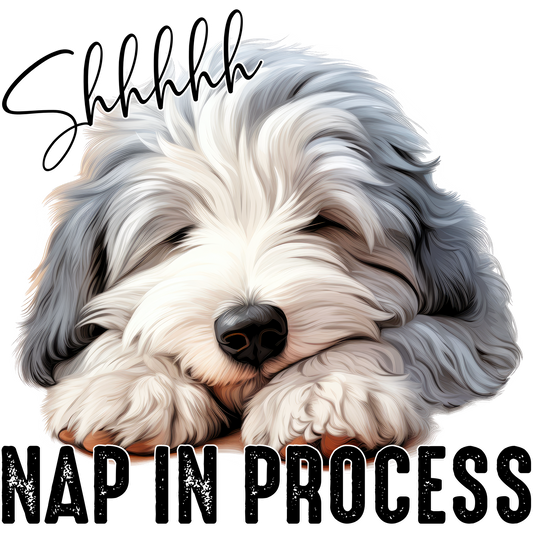 Shhhhh Nap In Process With Adorable Dog Product