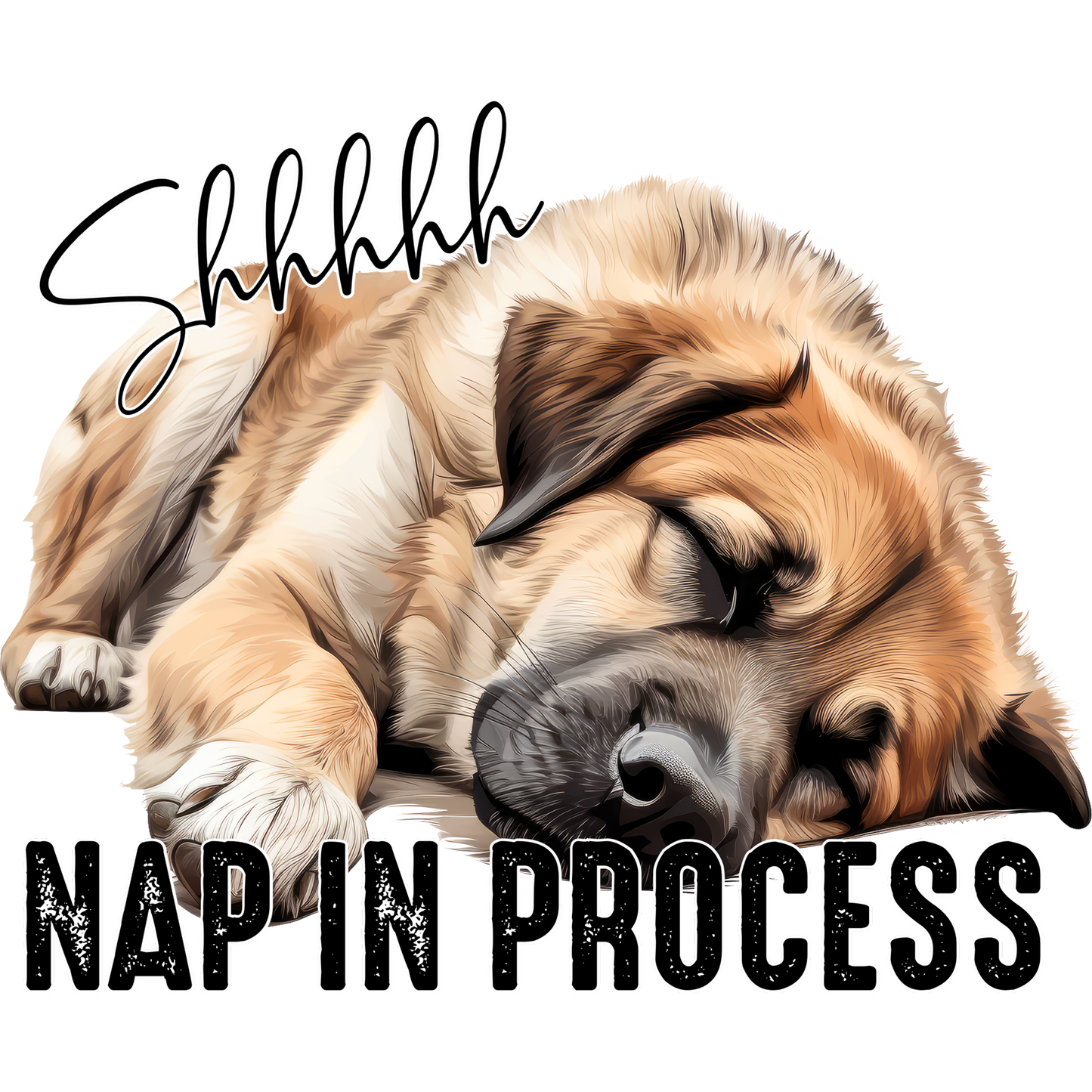 Shhhhh Nap in Process Sleeping Dog Art Product