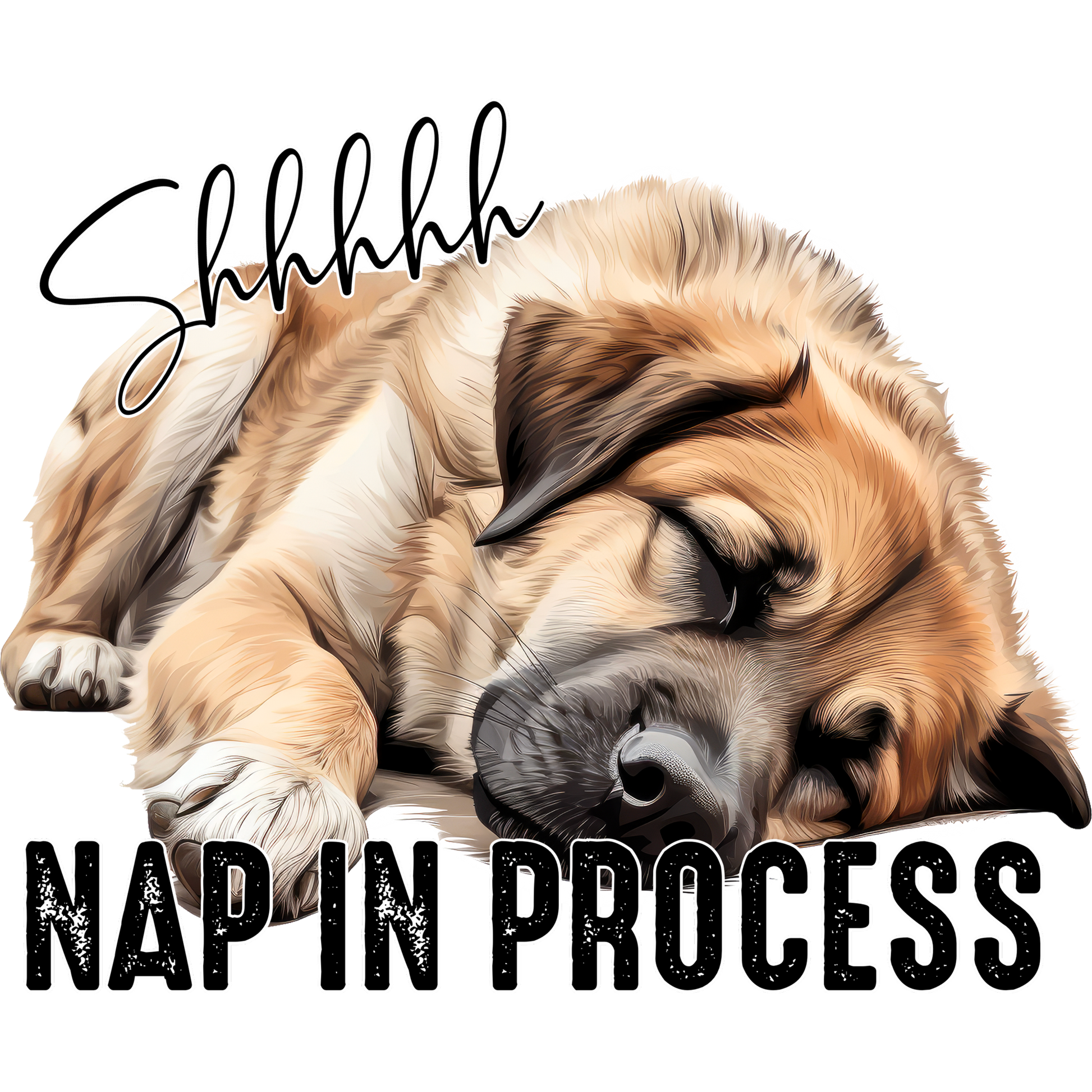 Shhhhh Nap in Process Sleeping Dog Art Product