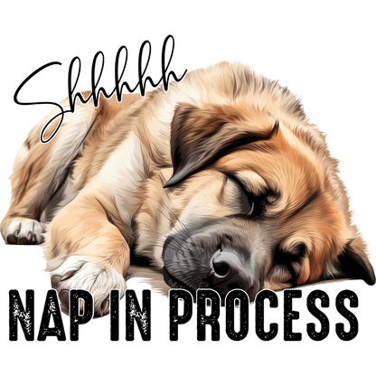 Shhhhh Nap in Process Sleeping Dog Art Product