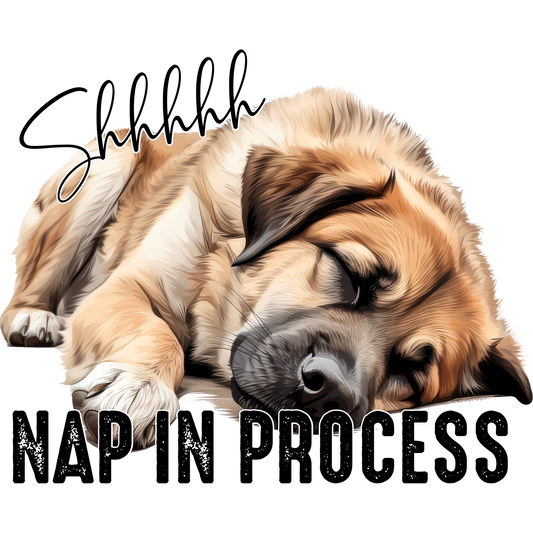 Shhhhh Nap in Process Sleeping Dog Art Product