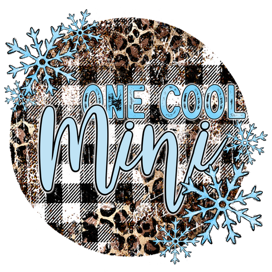 One Cool Mini with Patterns and Snowflakes Design