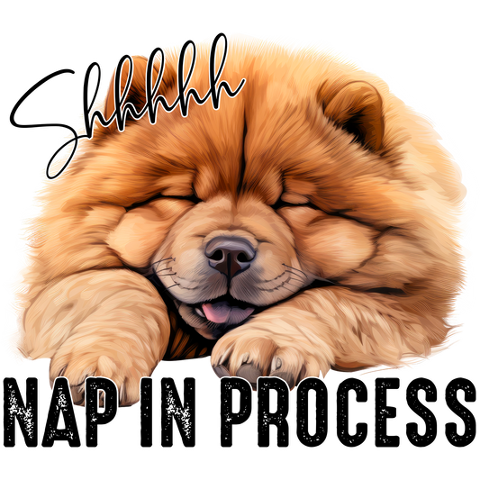 Shhhhh Nap in Process Sleeping Dog Poster