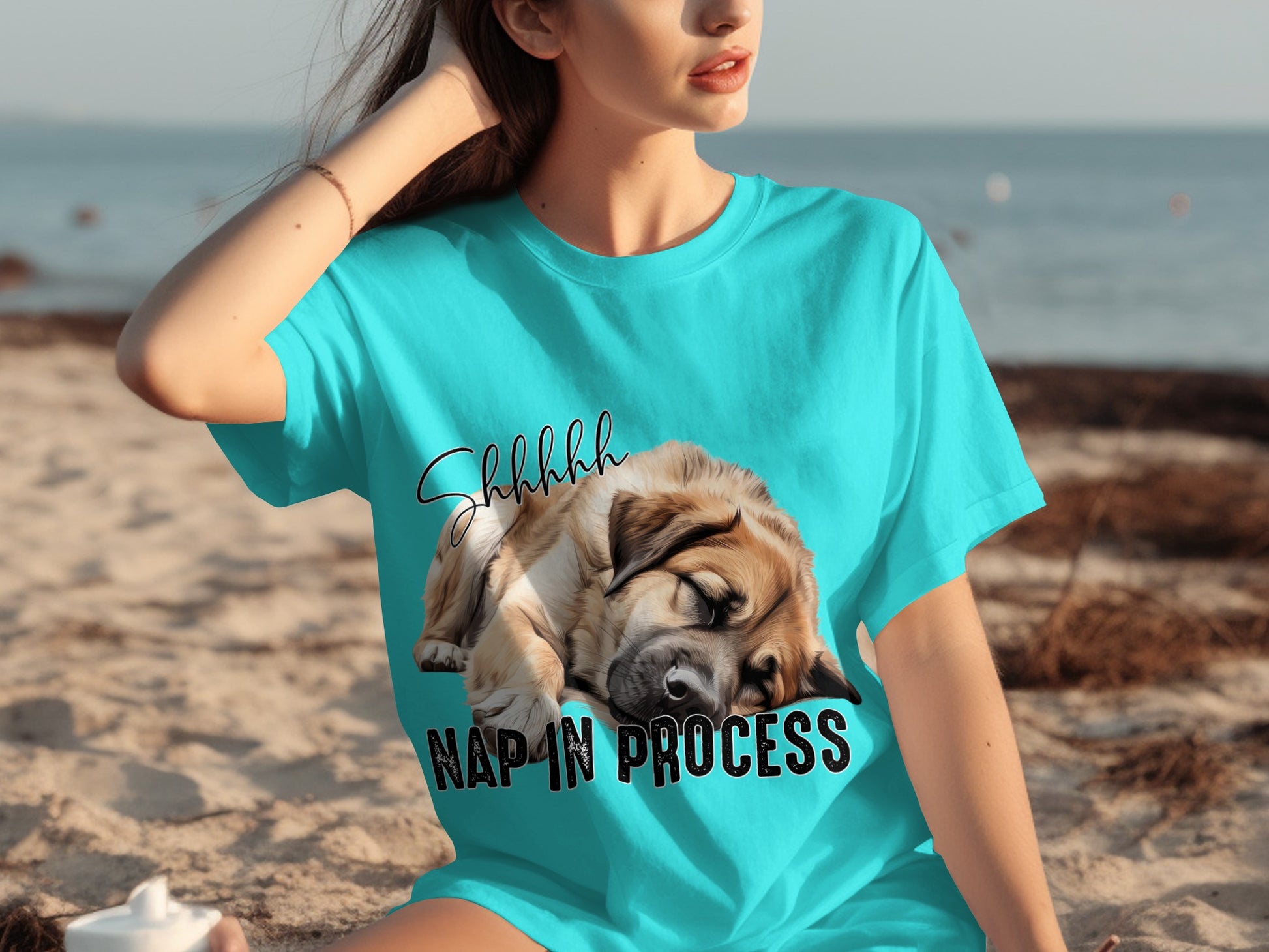 Shhhh Nap In Process Sleeping Dog Graphic T-Shirt