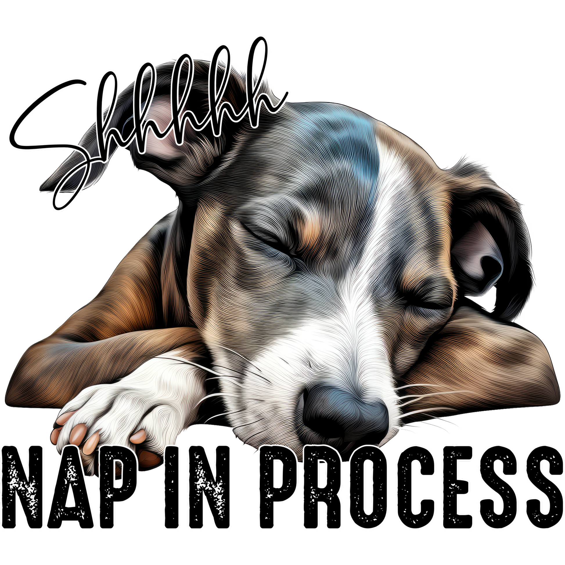 Shhhhh Nap In Process Dog Sleeping Poster