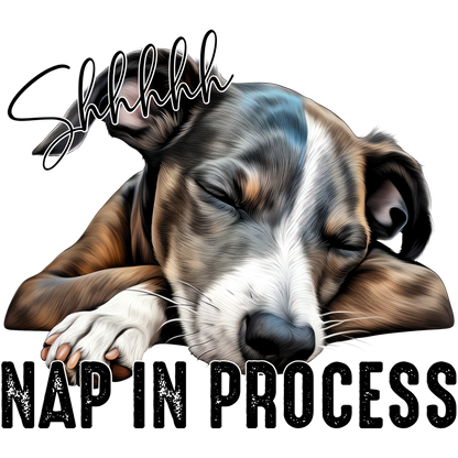 Shhhhh Nap In Process Dog Sleeping Poster