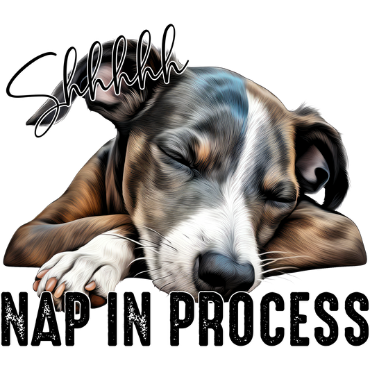 Shhhhh Nap In Process Dog Sleeping Poster