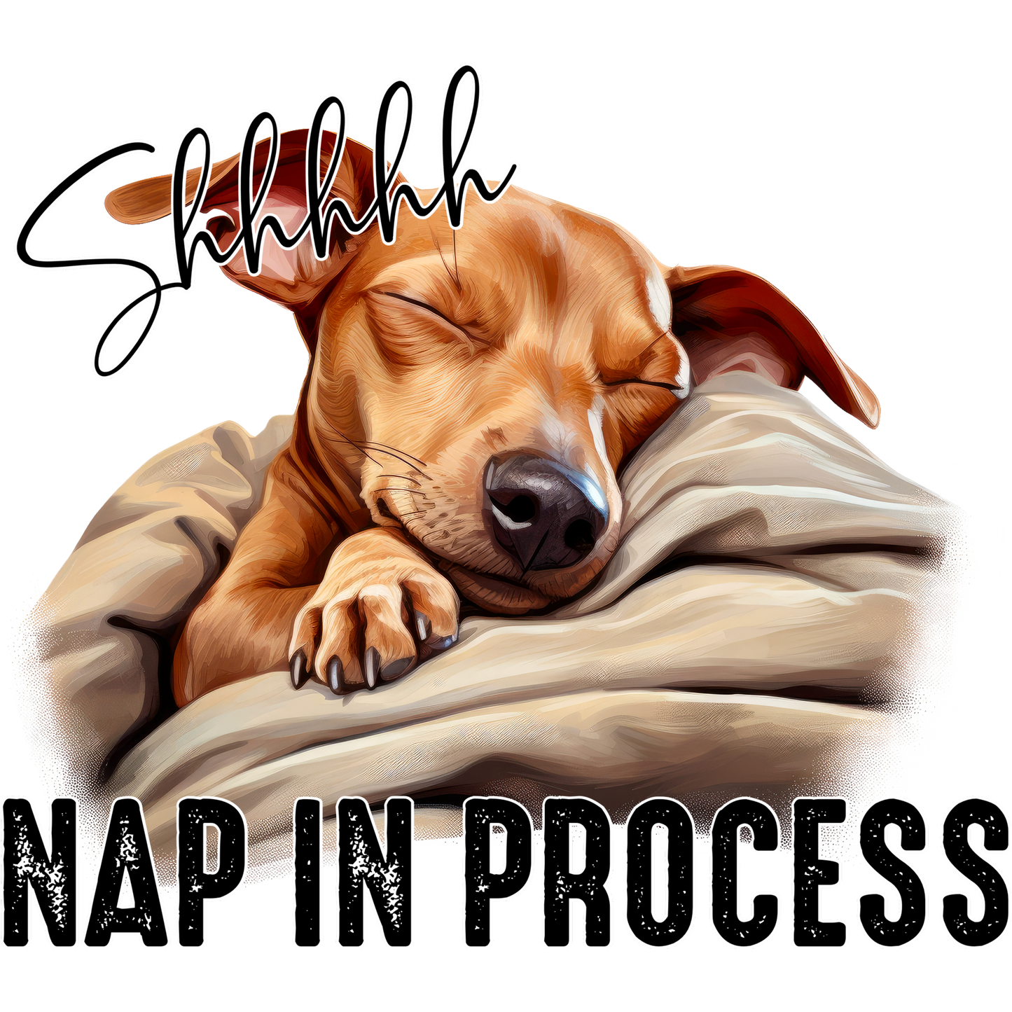 Shhhhhh Nap in Process Dog Lover Home Decor product