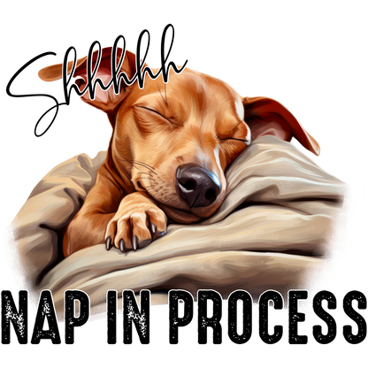 Shhhhhh Nap in Process Dog Lover Home Decor product