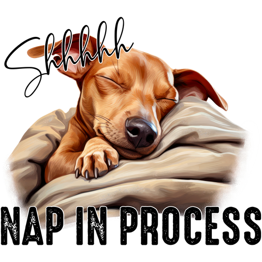 Shhhhhh Nap in Process Dog Lover Home Decor product