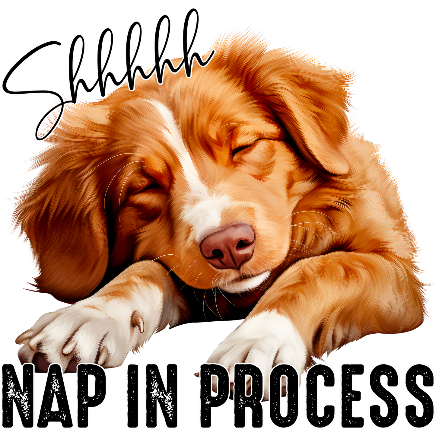 Shhhhhh Nap In Process Cute Sleeping Dog Poster