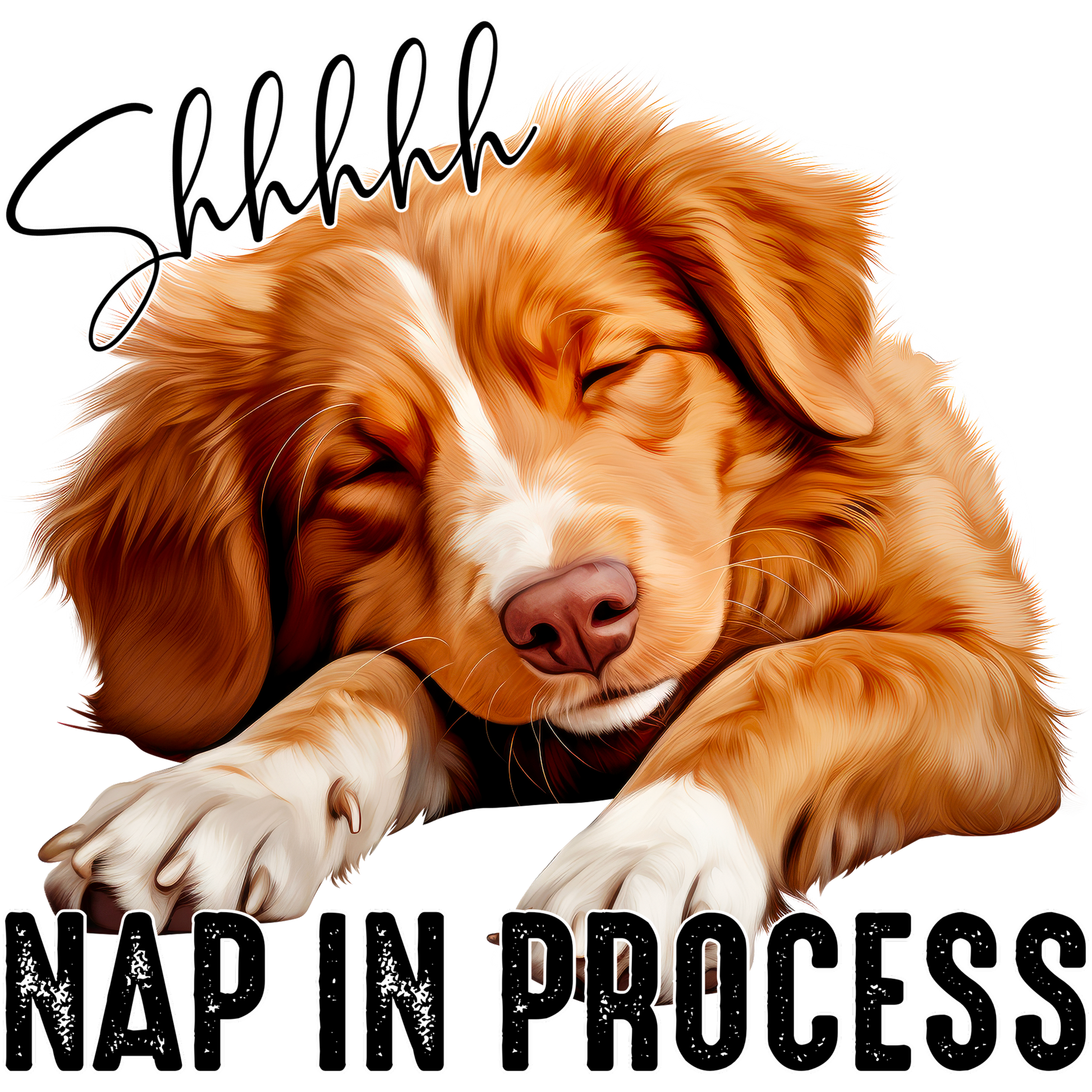 Shhhhhh Nap In Process Cute Sleeping Dog Poster