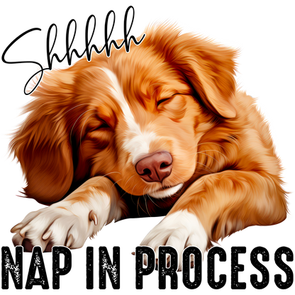 Shhhhhh Nap In Process Cute Sleeping Dog Poster