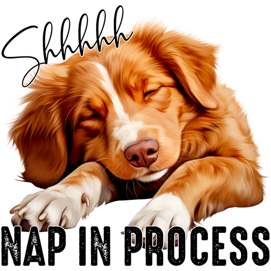 Shhhhhh Nap In Process Cute Sleeping Dog Poster