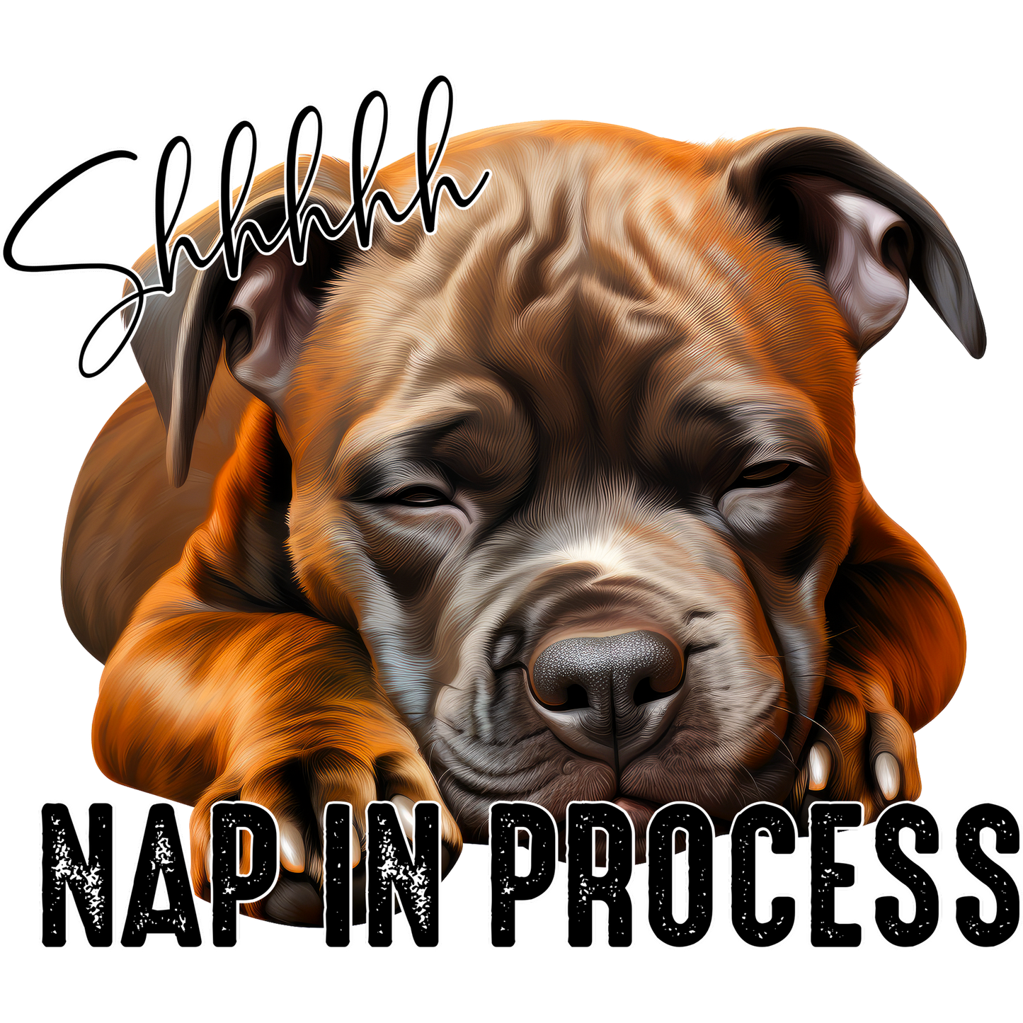 Shhhhh Nap In Process Cute Sleeping Dog Print