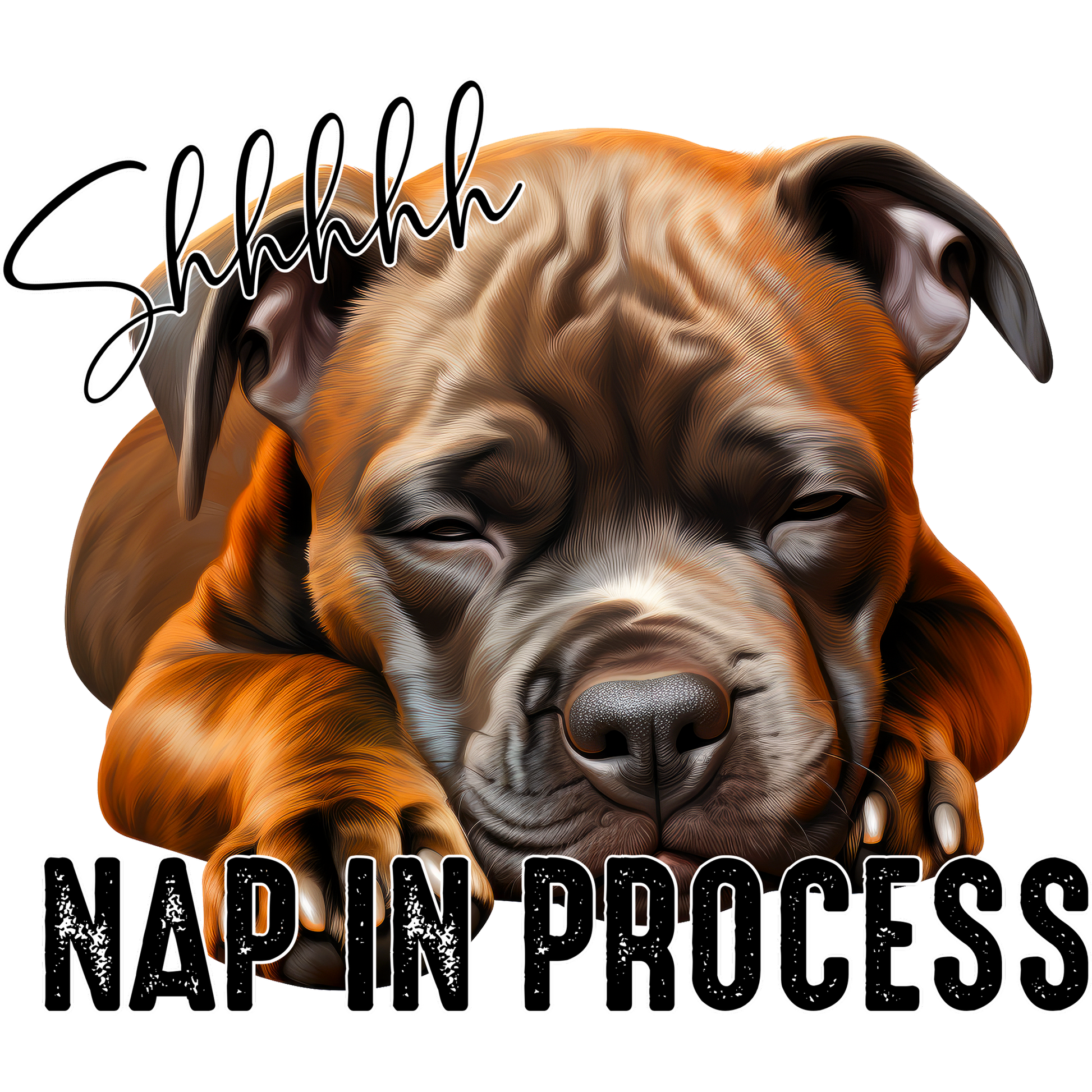 Shhhhh Nap In Process Cute Sleeping Dog Print