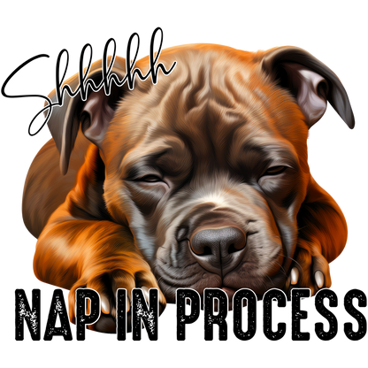 Shhhhh Nap In Process Cute Sleeping Dog Print
