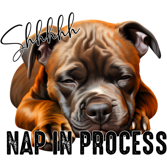Shhhhh Nap In Process Cute Sleeping Dog Print