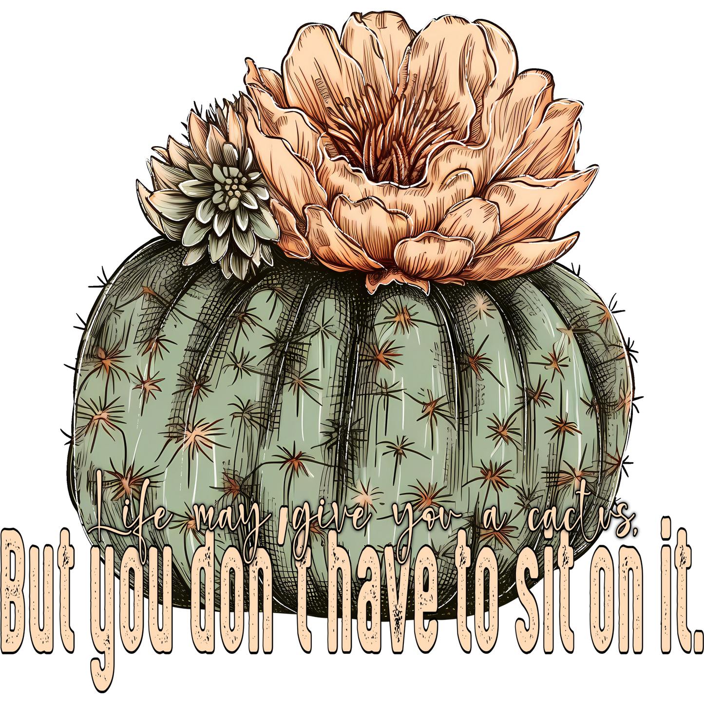 Life May Give You A Cactus Inspirational Artwork
