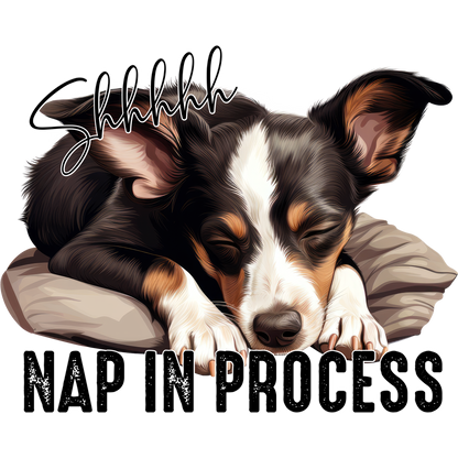Shhh Nap In Process Adorable Sleeping Dog Artwork