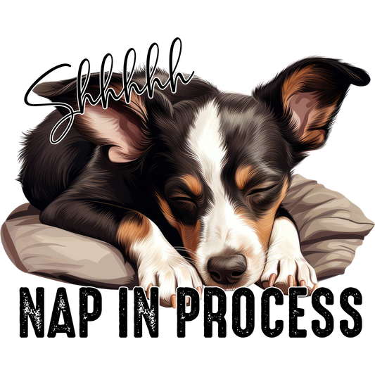 Shhh Nap In Process Adorable Sleeping Dog Artwork