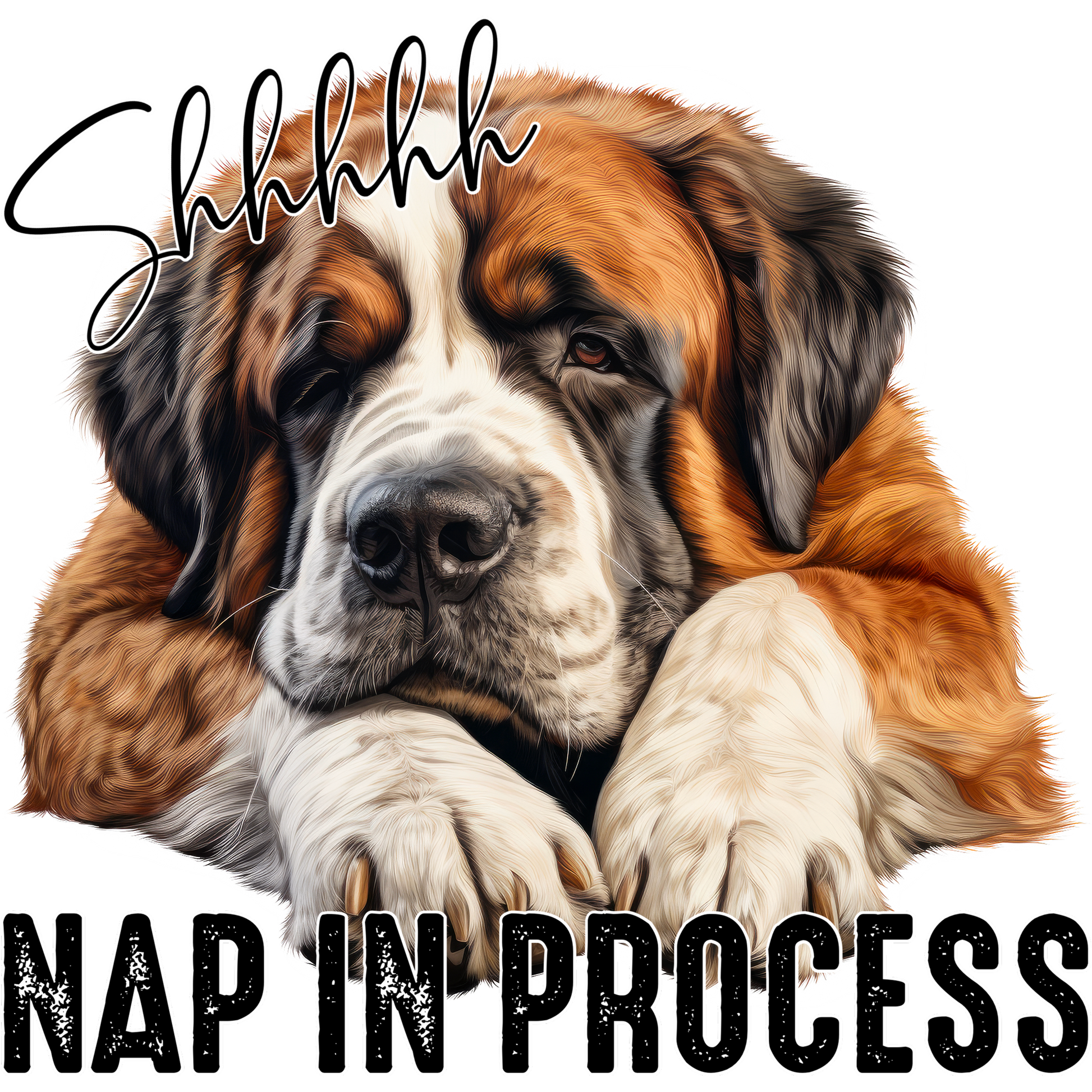 Shhh Nap In Process Saint Bernard Dog Illustration