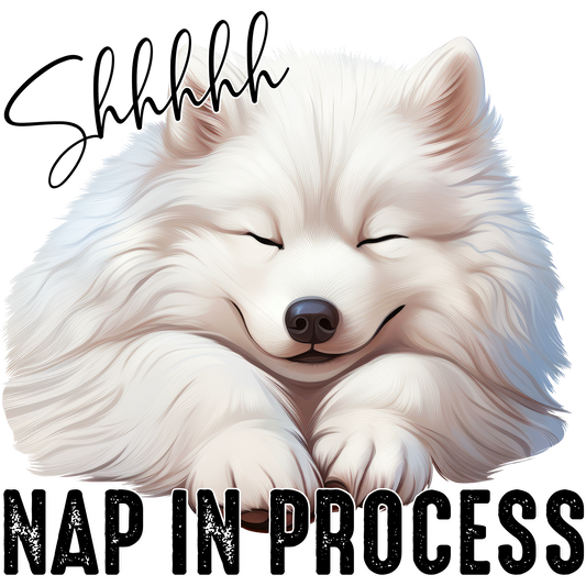 Shhhhhh Nap In Process Adorable Sleeping Dog Sign