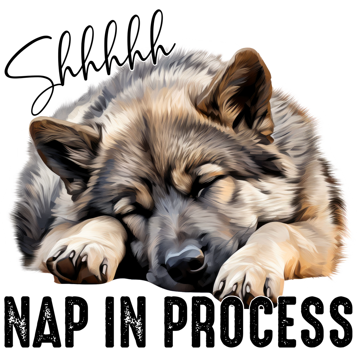 Shhhhhh Nap In Process Sleeping Dog Wall Art Decor