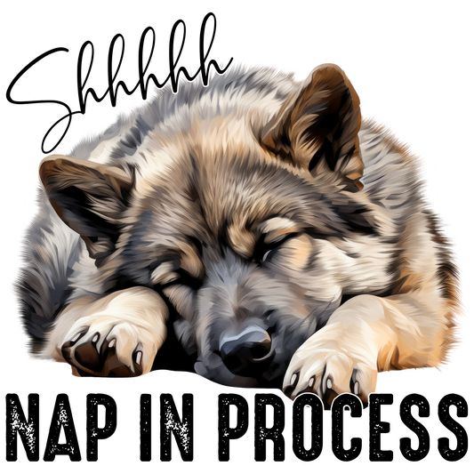 Shhhhhh Nap In Process Sleeping Dog Wall Art Decor