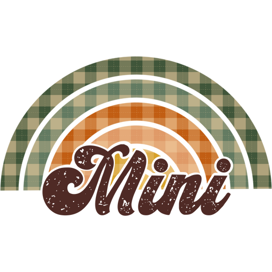 Mini Plaid Rainbow Design Graphic Product