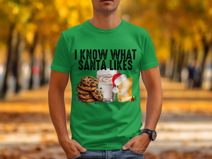 I Know What Santa Likes Graphic T-Shirt