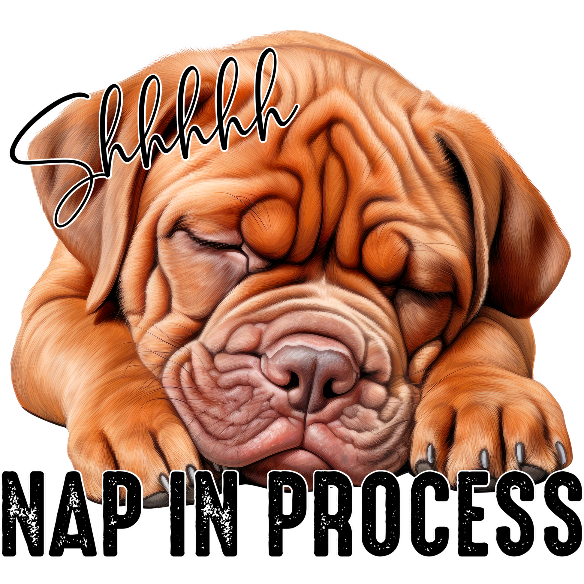 Shhhhh Nap In Process Cute Dog Sleeping Artwork