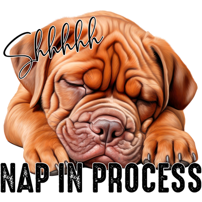 Shhhhh Nap In Process Cute Dog Sleeping Artwork