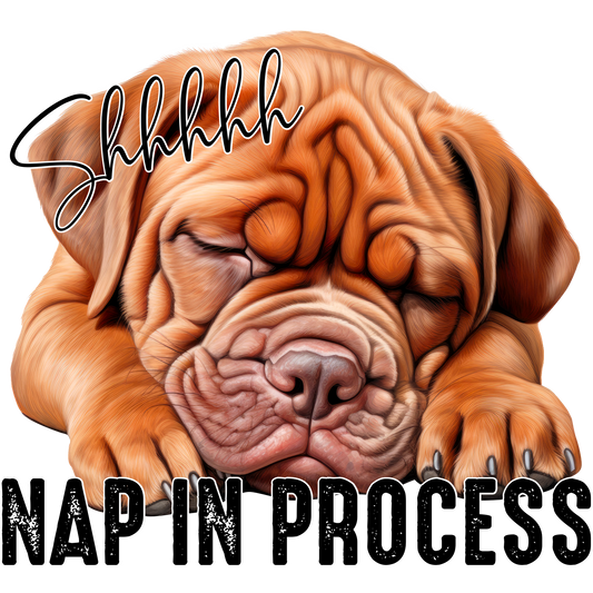 Shhhhh Nap In Process Cute Dog Sleeping Artwork