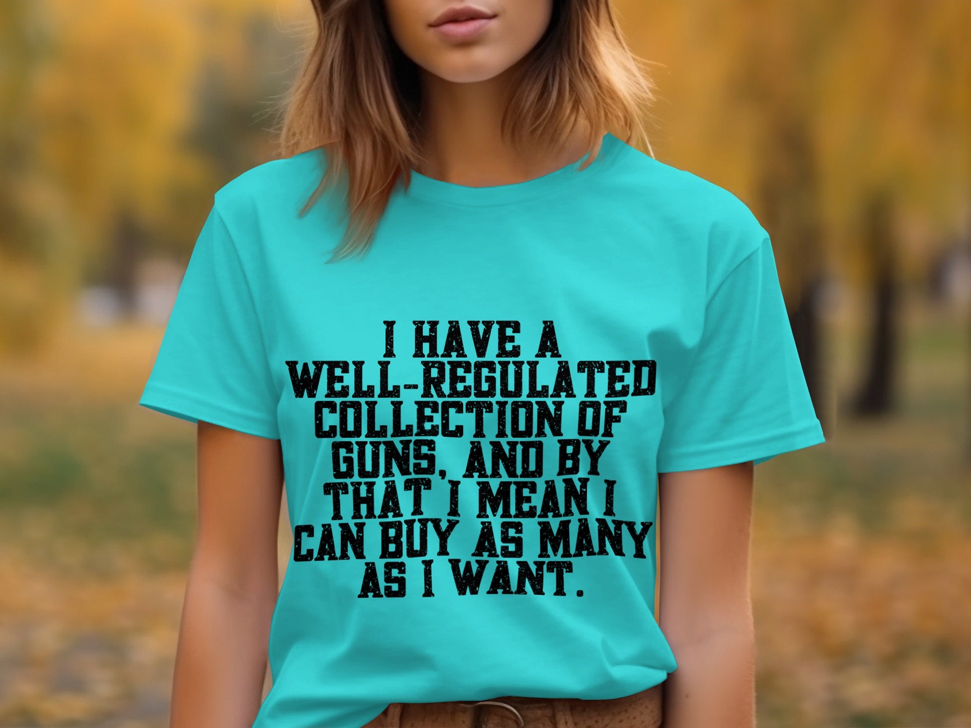 I Have A Well-Regulated Collection Of Guns T-Shirt